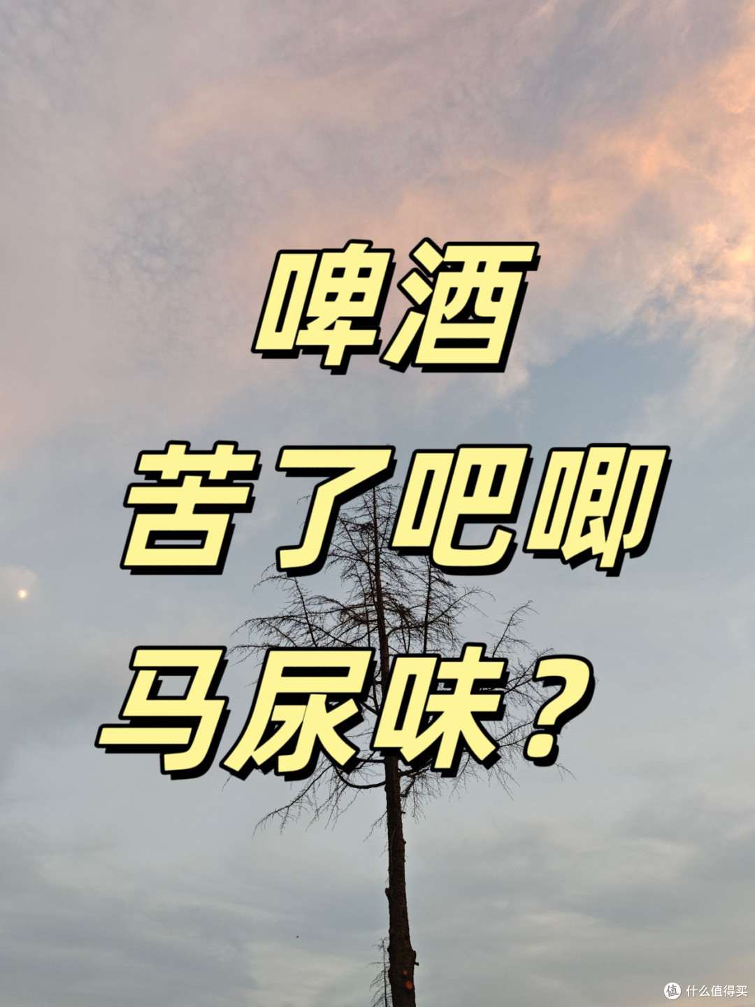 🍺啤酒小白扫盲指南|看完你比酒桌老司机还懂!