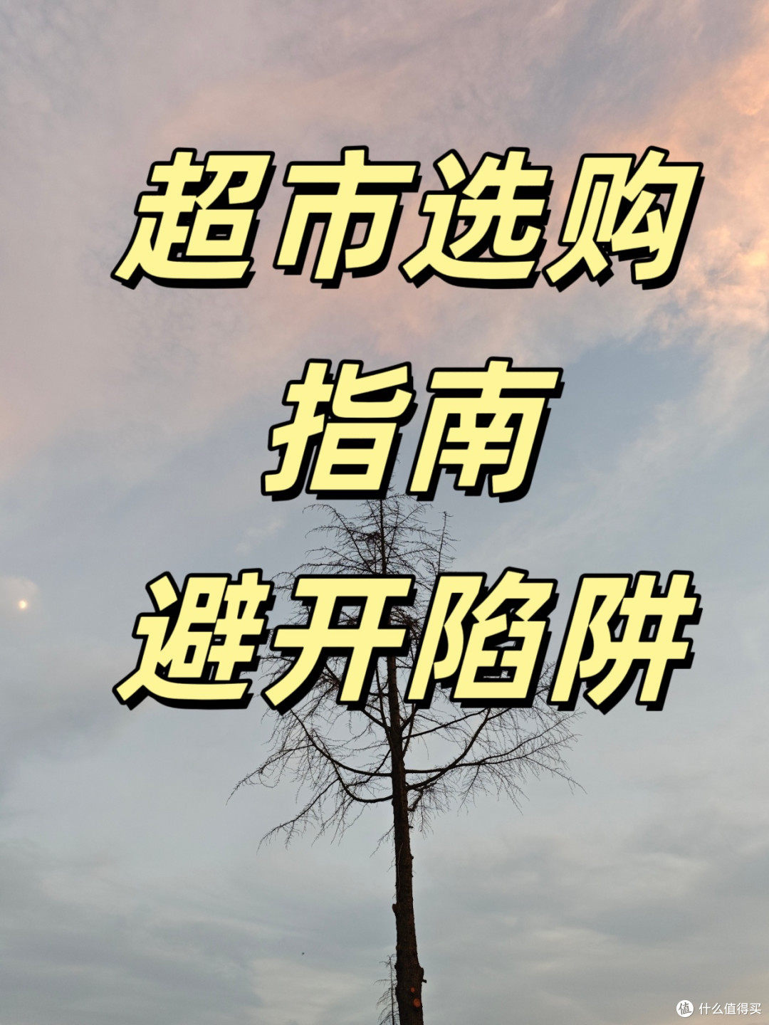 🍺啤酒小白扫盲指南|看完你比酒桌老司机还懂!