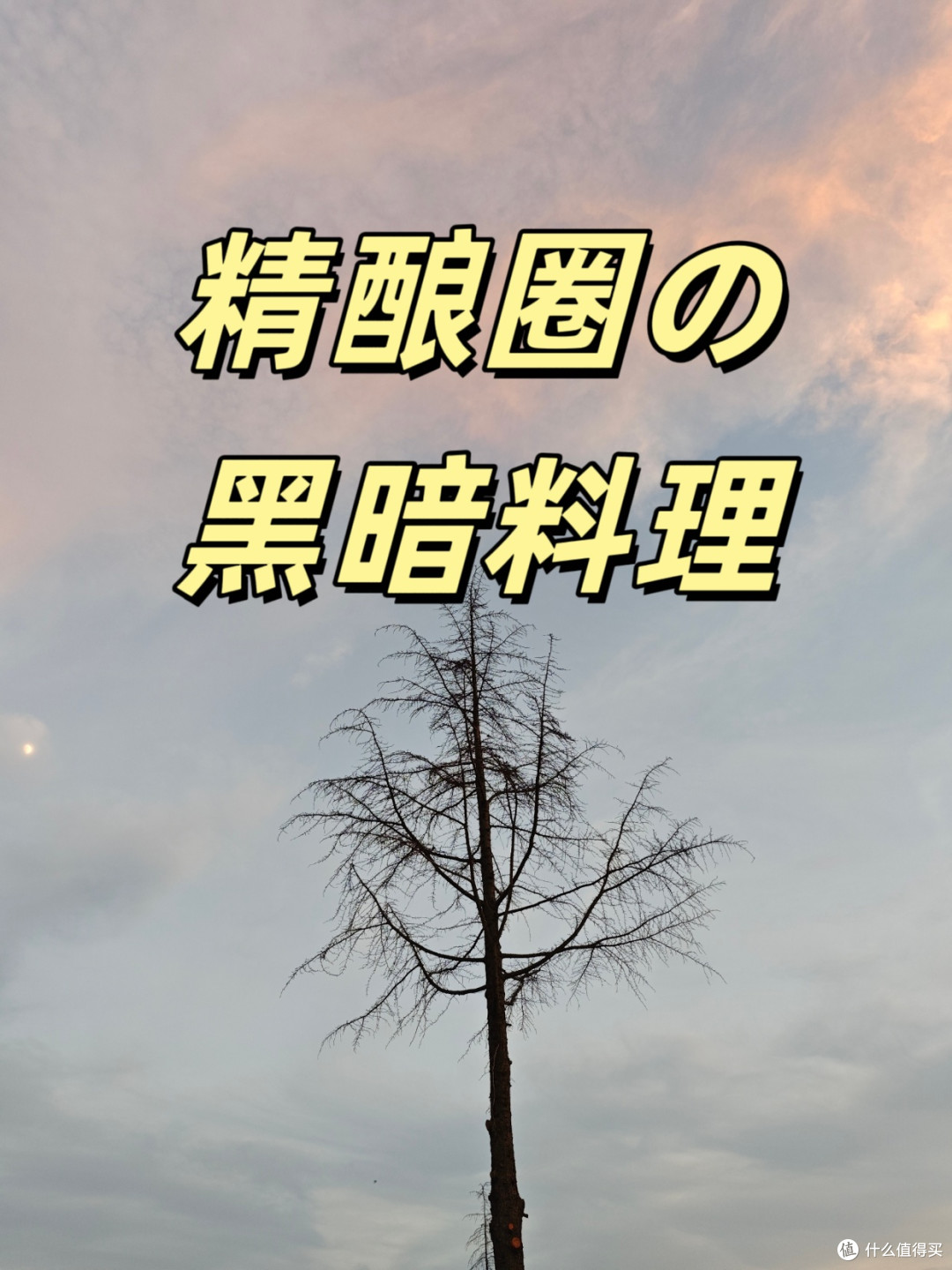 🍺啤酒小白扫盲指南|看完你比酒桌老司机还懂!