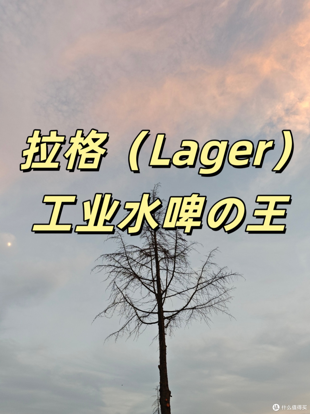 🍺啤酒小白扫盲指南|看完你比酒桌老司机还懂!