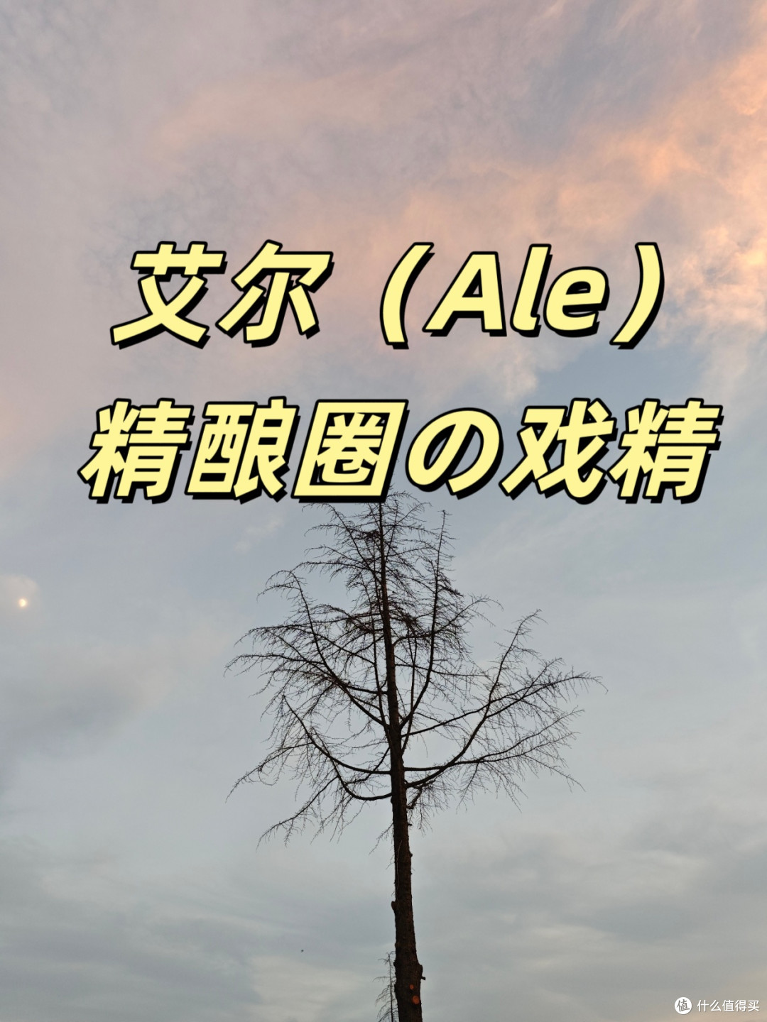 🍺啤酒小白扫盲指南|看完你比酒桌老司机还懂!