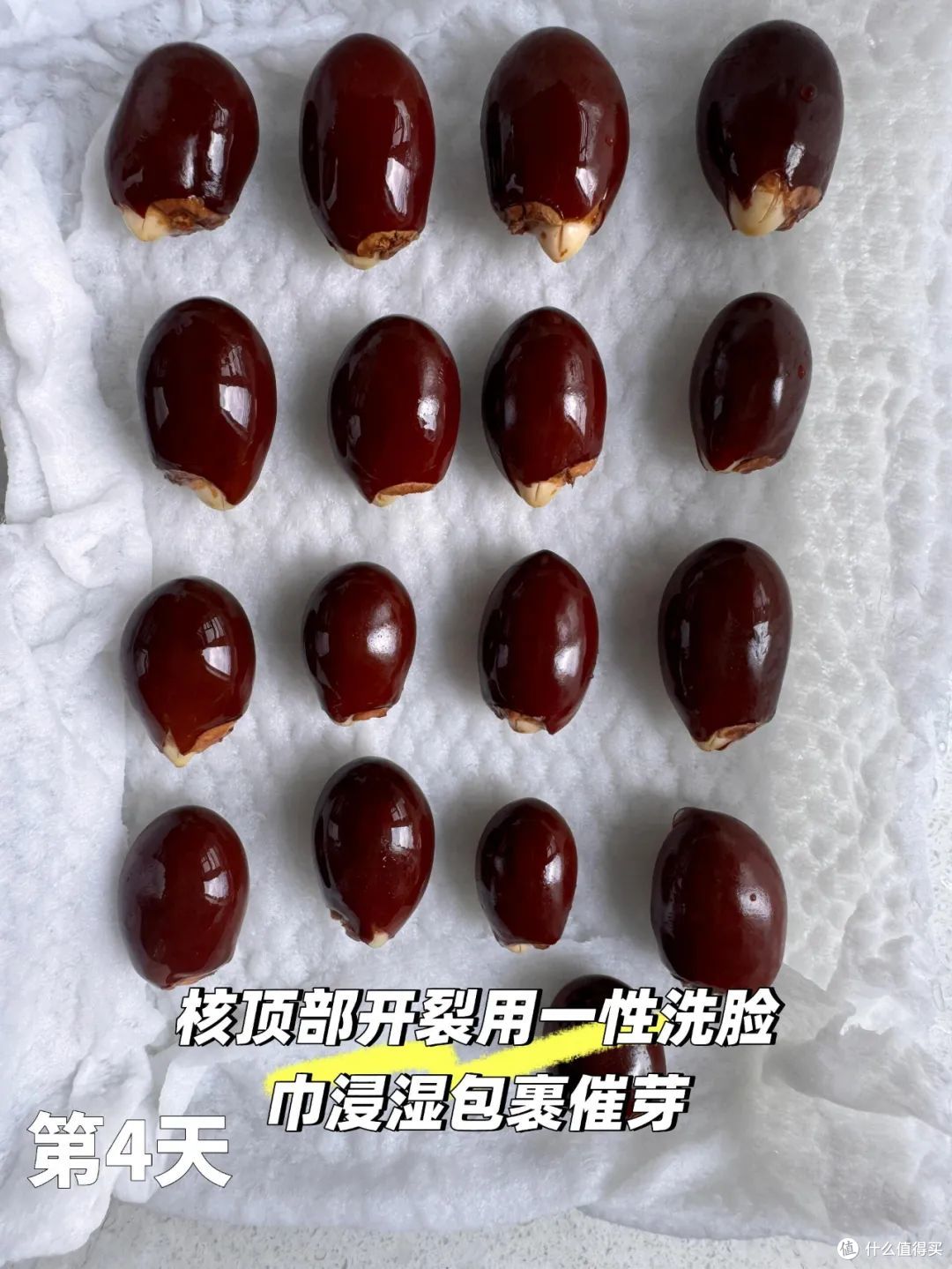 被年轻人的脑洞折服了!一颗小小的荔枝,都被 “吃出花”来了