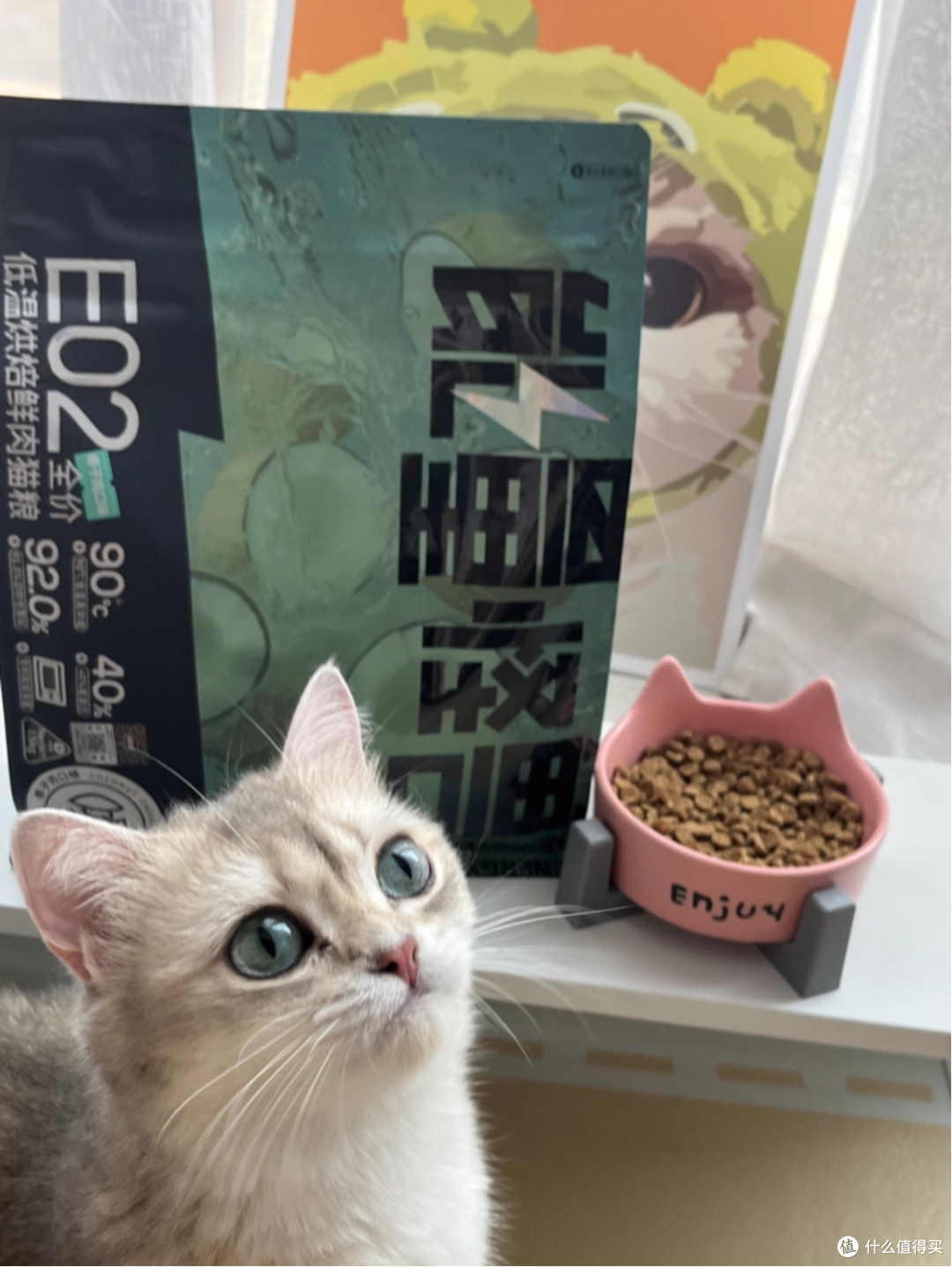 猫粮怎么选配比例?铲屎官私藏:猫粮平价又健康的清单