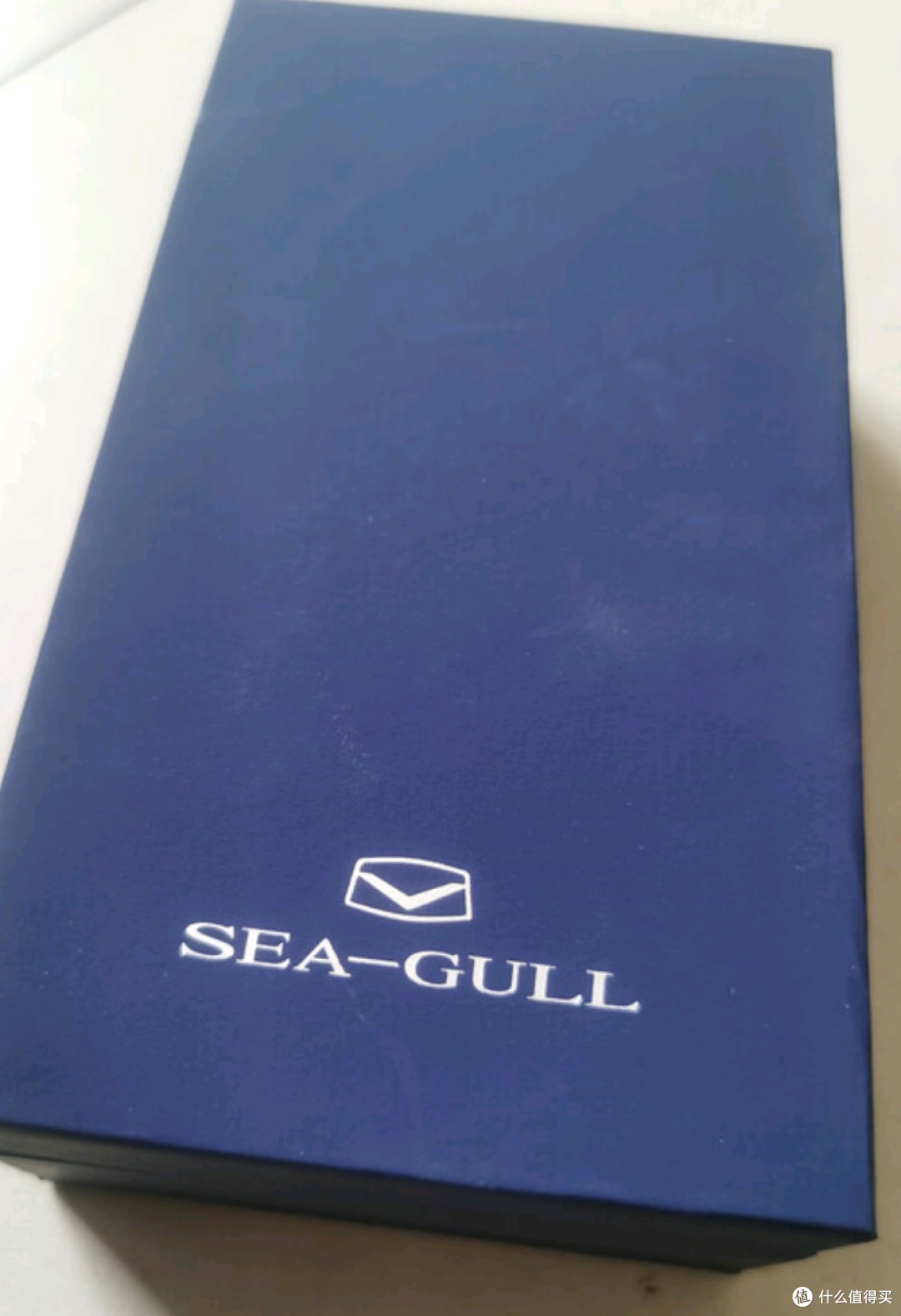 海鸥(SEAGULL)手表男士自动机械表 国民日历男士手表