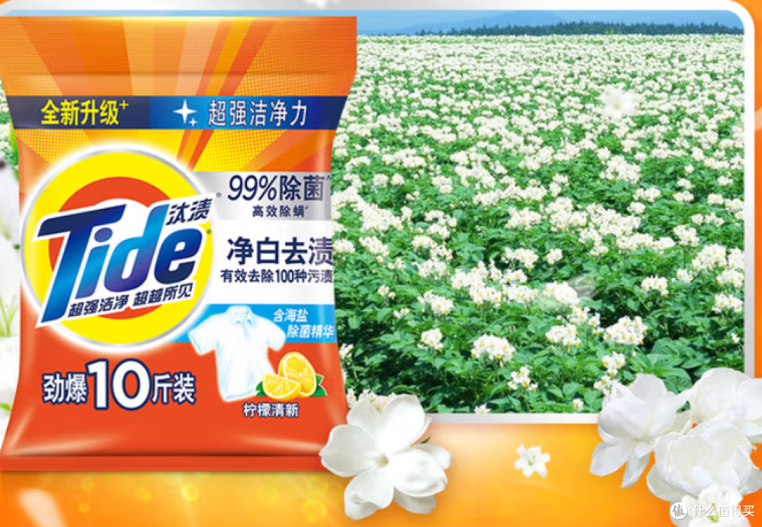 汰渍10斤装柠檬洗衣粉:家庭清洁的经济之选
