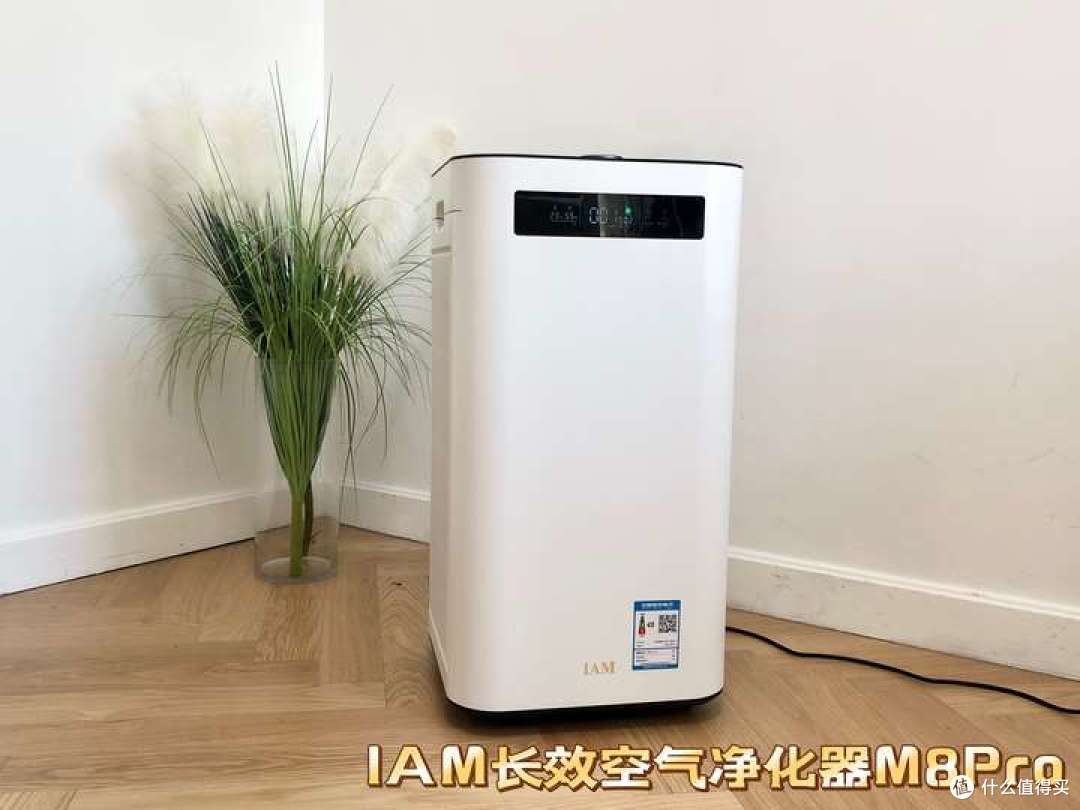 2025年空气净化器实测推荐：高品质好用又耐用的空气净化器怎么选