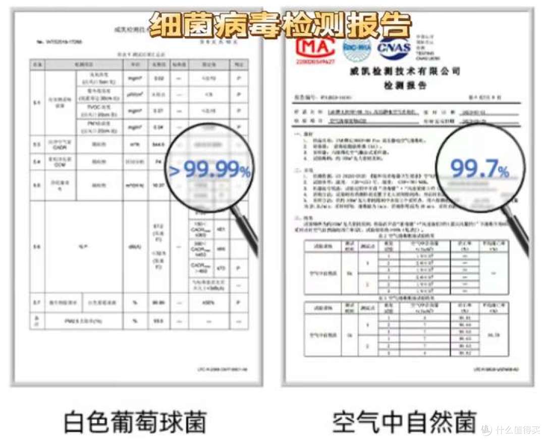 2025年空气净化器实测推荐：高品质好用又耐用的空气净化器怎么选