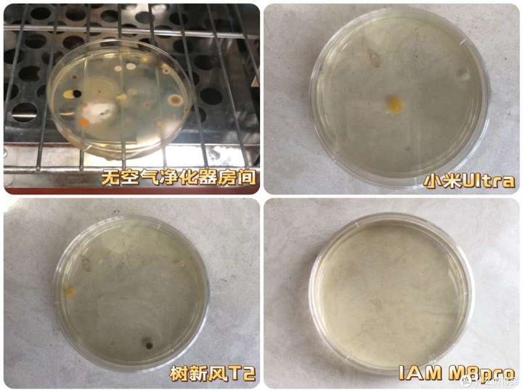 2025年空气净化器实测推荐：高品质好用又耐用的空气净化器怎么选