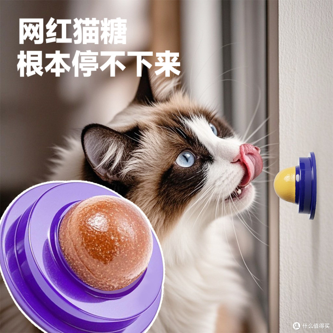 别再误解猫糖了!它其实是养猫家庭的 “甜蜜助攻”