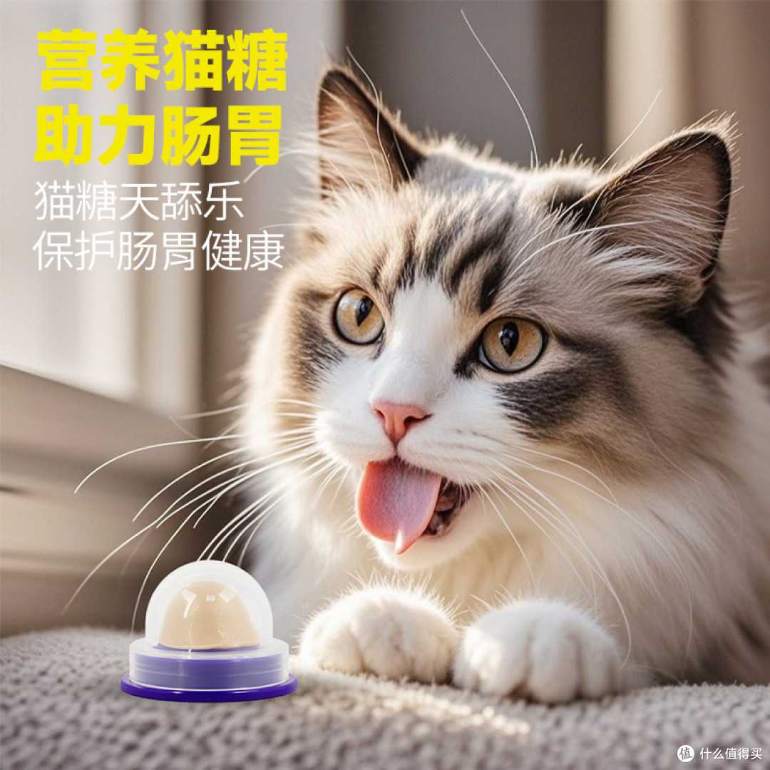 别再误解猫糖了!它其实是养猫家庭的 “甜蜜助攻”