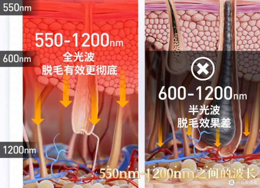 脱毛仪品牌这么多,到底哪个值得买?7年脱毛仪资深用户实测对比