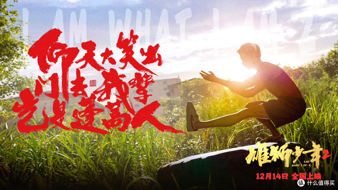 暑假观影指南:多部佳片不容错过