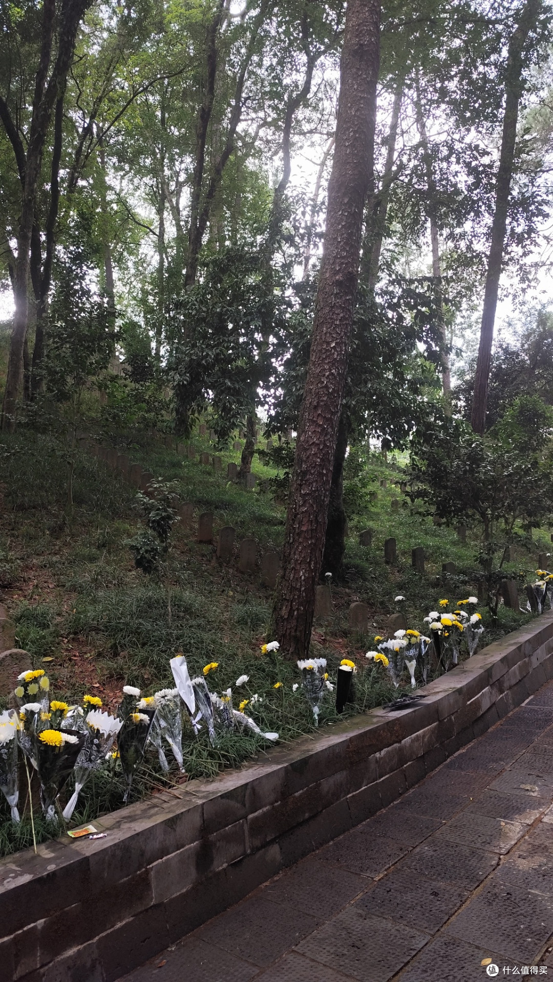 腾冲国殇墓园:缅怀先烈,铭记历史