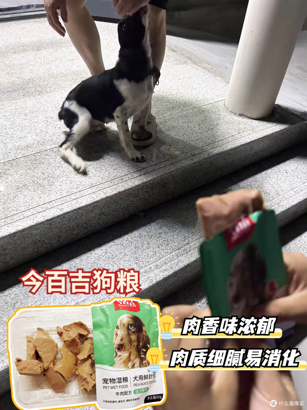 为了吃,狗子激动地站了起来!