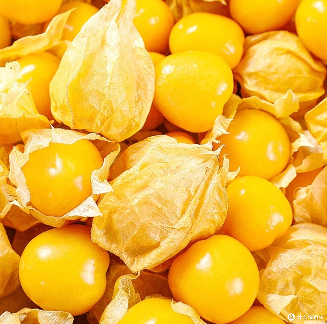咬一口东北的夏天,姑娘果的酸甜暴击谁顶得住?