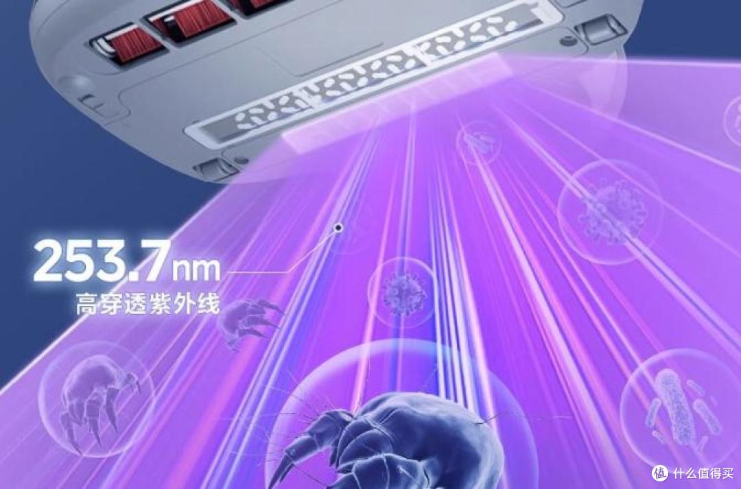 有线除螨仪排行第一名正品?25 年度十大实力派推荐!满满干货!