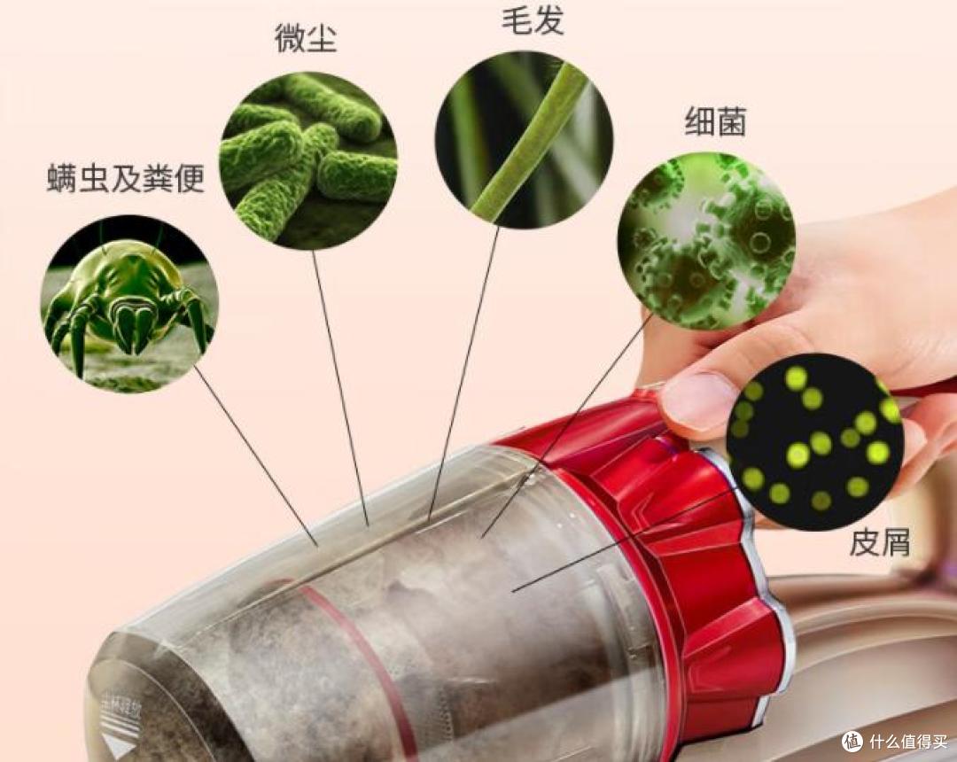有线除螨仪排行第一名正品?25 年度十大实力派推荐!满满干货!