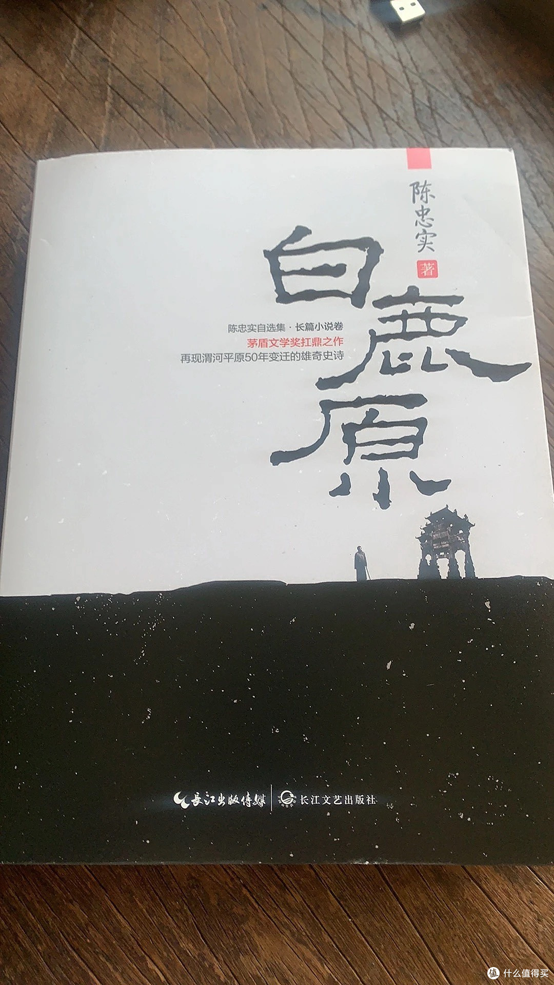 白鹿原:历史洪流中的个体沉浮?