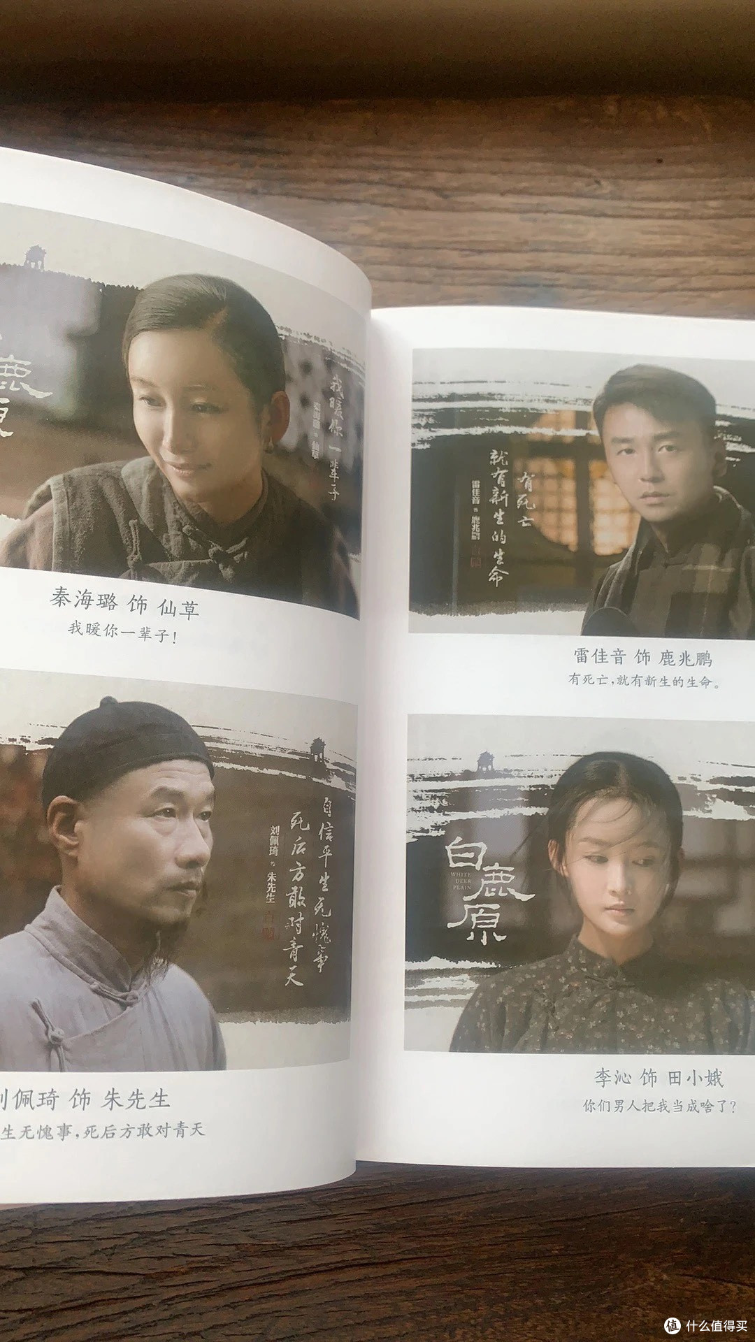 白鹿原:历史洪流中的个体沉浮?