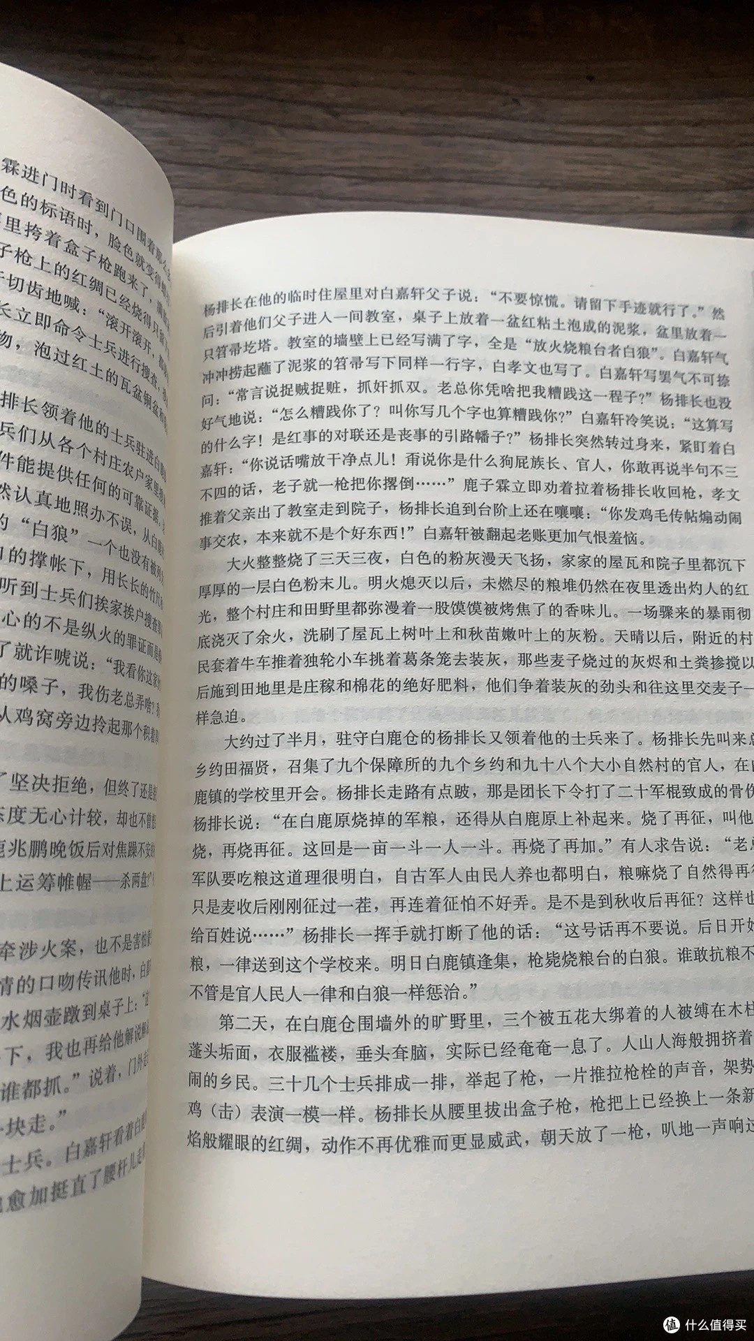白鹿原:历史洪流中的个体沉浮?