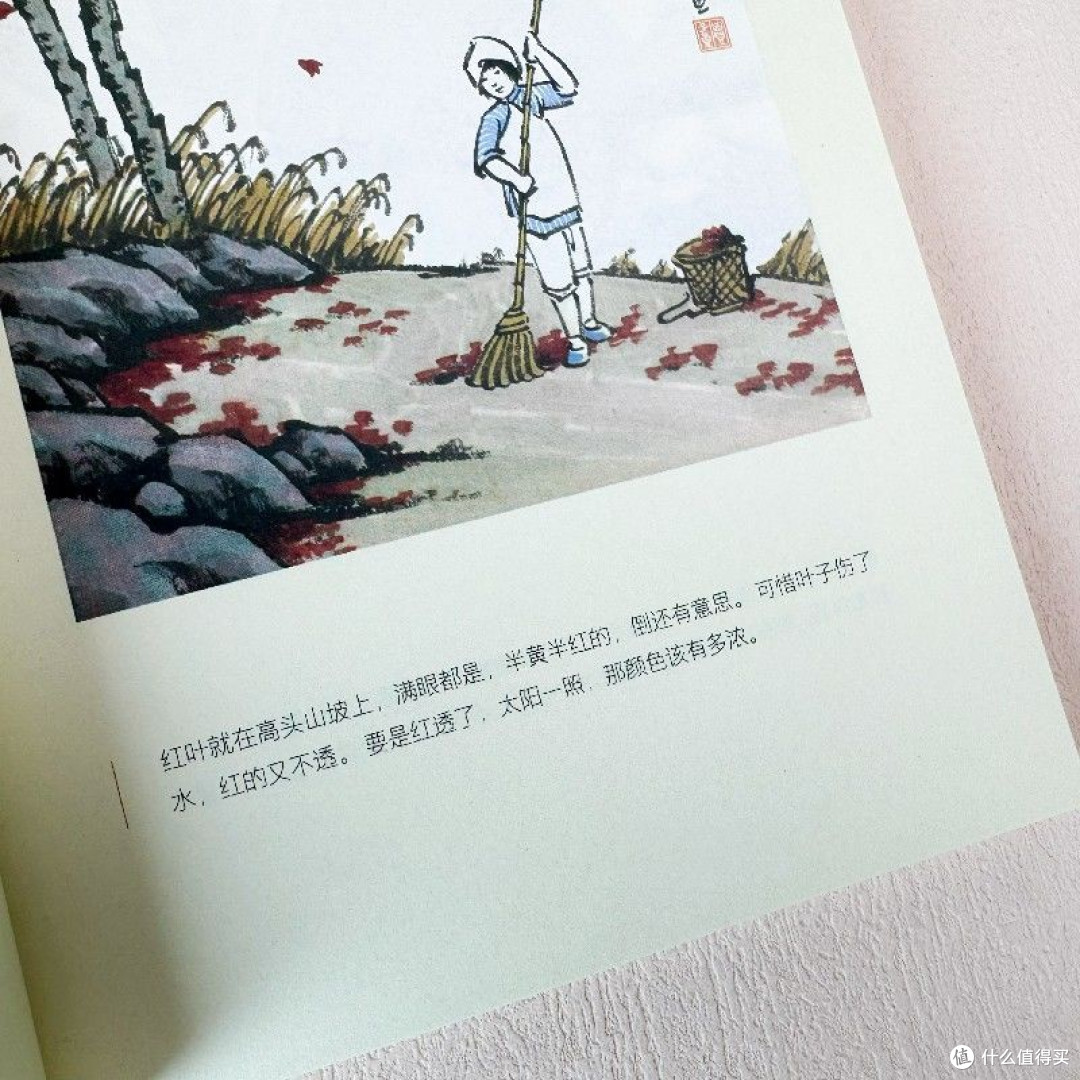 读书凉一夏|在书里邂逅四季