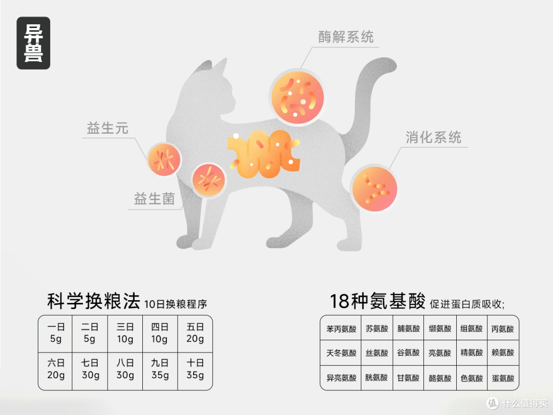 破壁高蛋白迷思：为何≥50%粗蛋白才是猫咪进阶成长的关键？