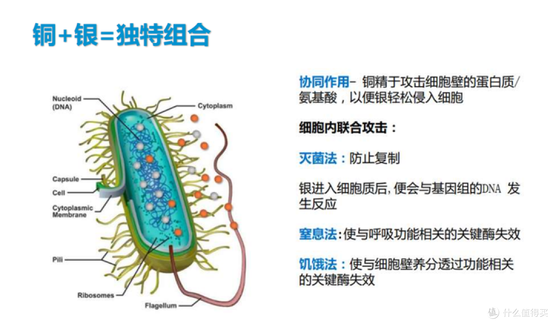 有哪些除醛效果好的空气净化器推荐?附普拉飞空气净化消毒机实测