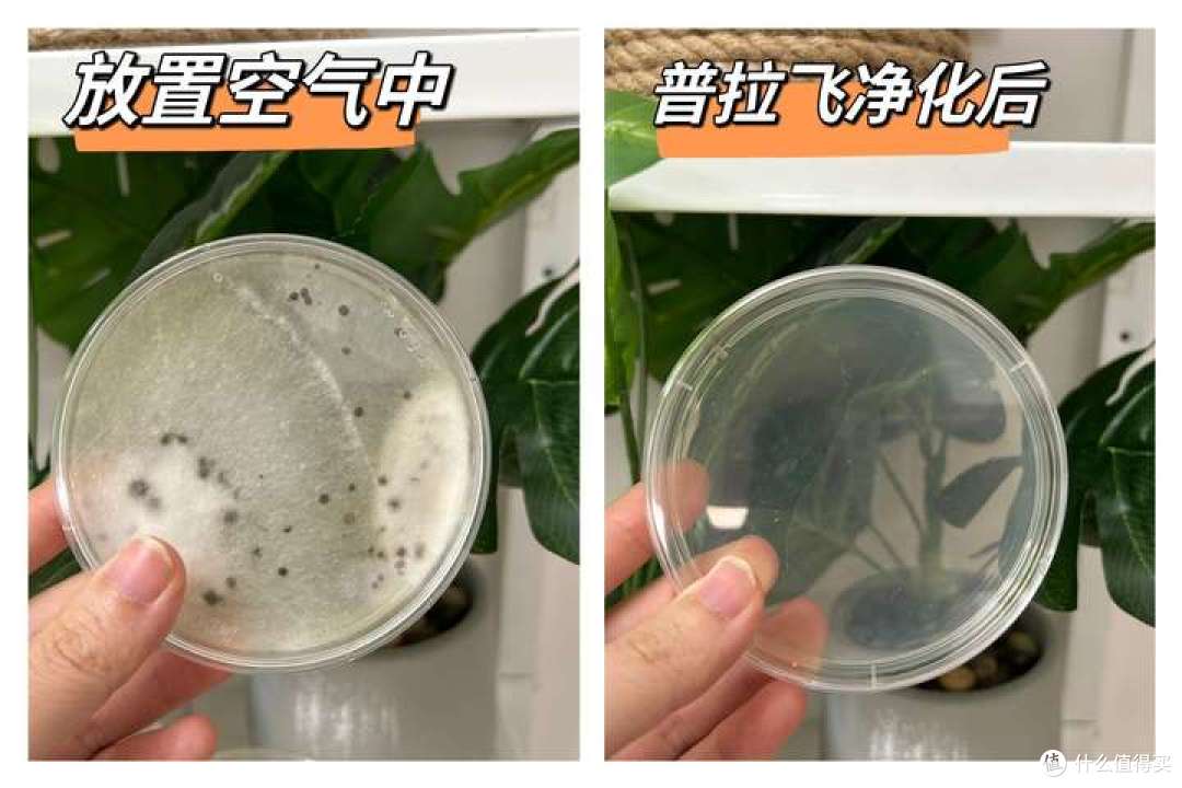 有哪些除醛效果好的空气净化器推荐?附普拉飞空气净化消毒机实测