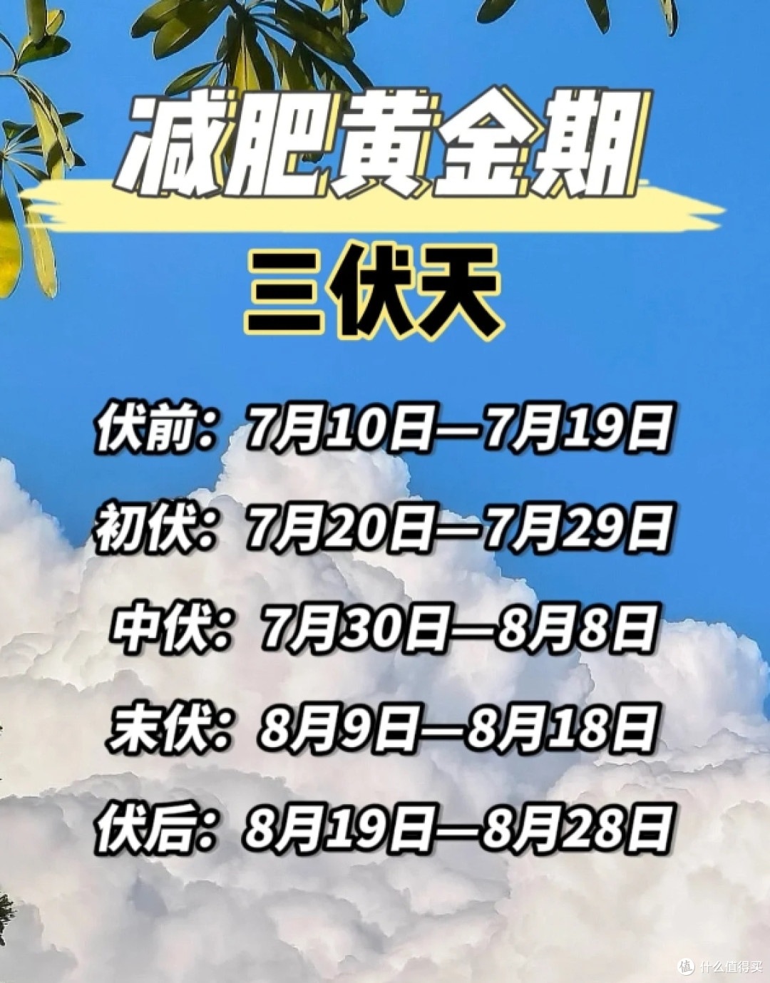 三伏天最佳减脂期!8做8不做!