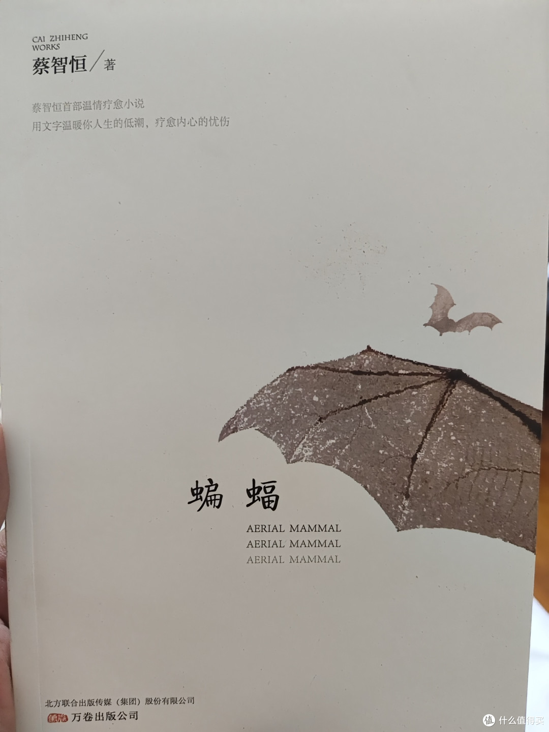 你还记得第一次亲密接触的痞子蔡吗？