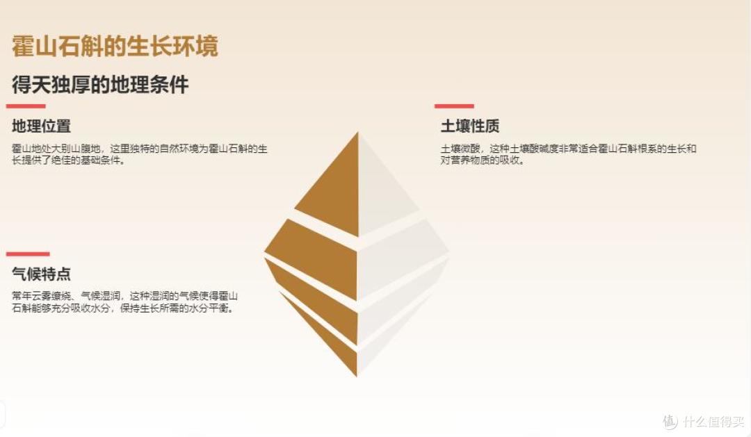 2025霍山石斛牌子哪个好？这五款优选品牌，真正做到内外兼修