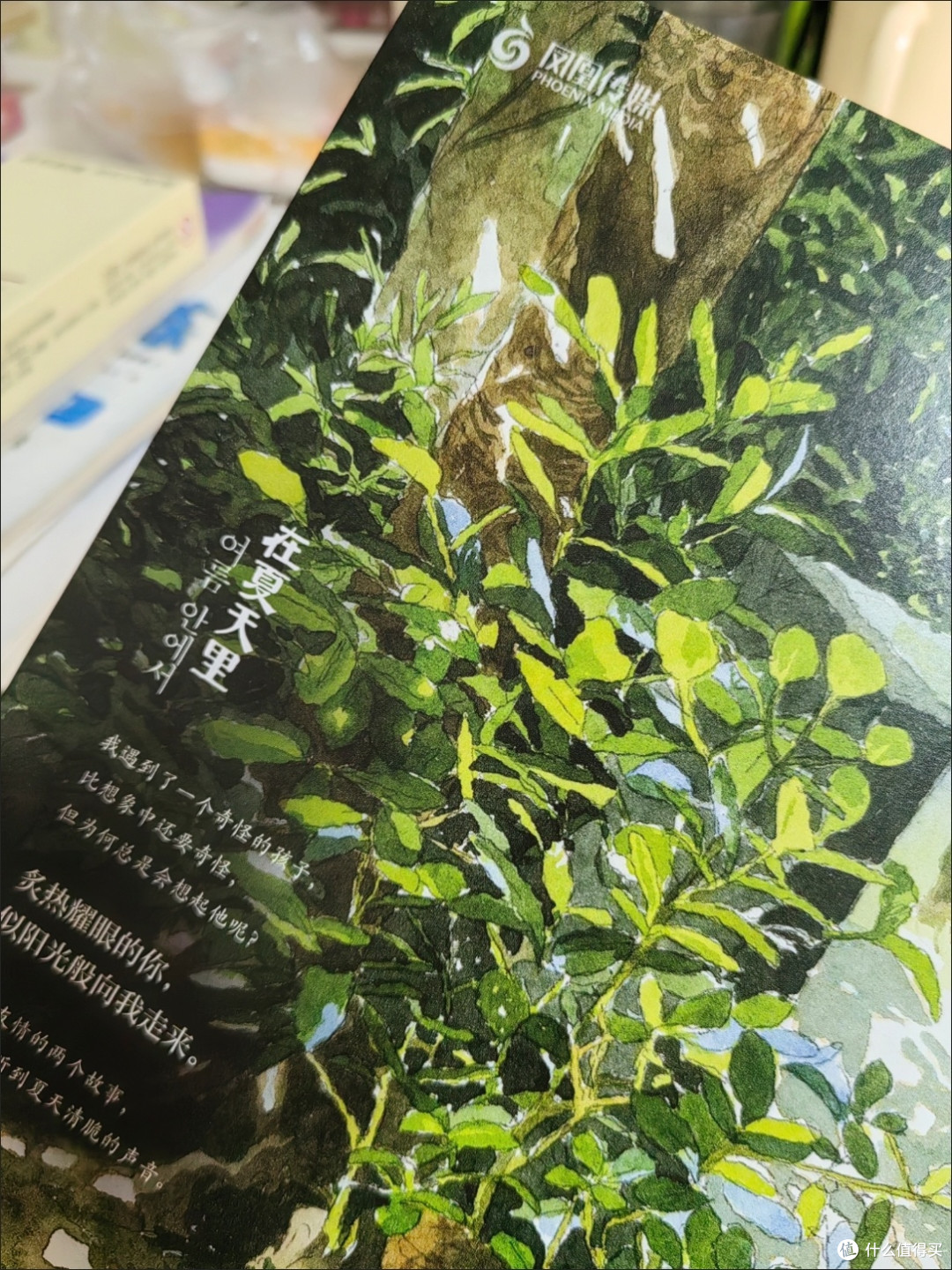 夏日里,被这本漫画暖到了