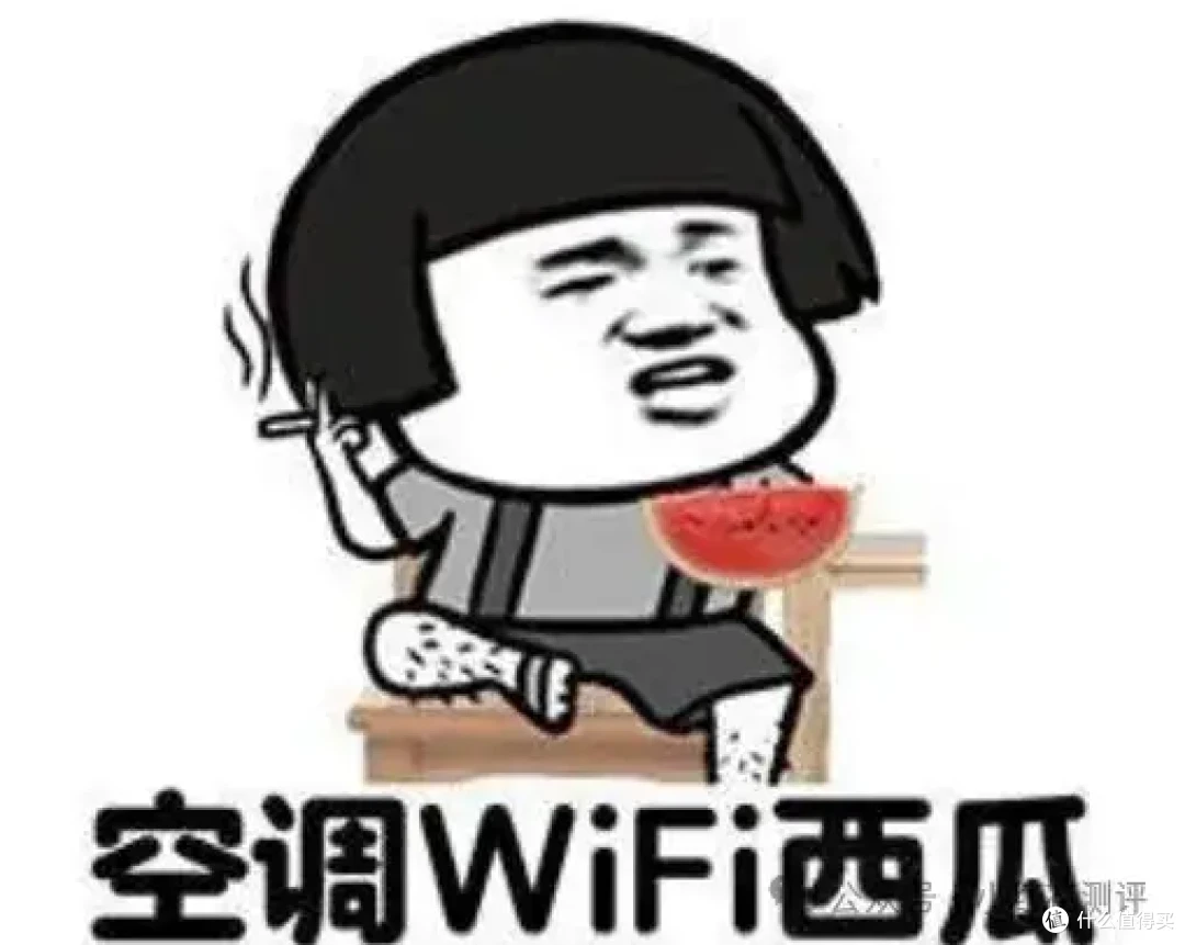 央视报道:吹空调3天成「白肺」,元凶是它......
