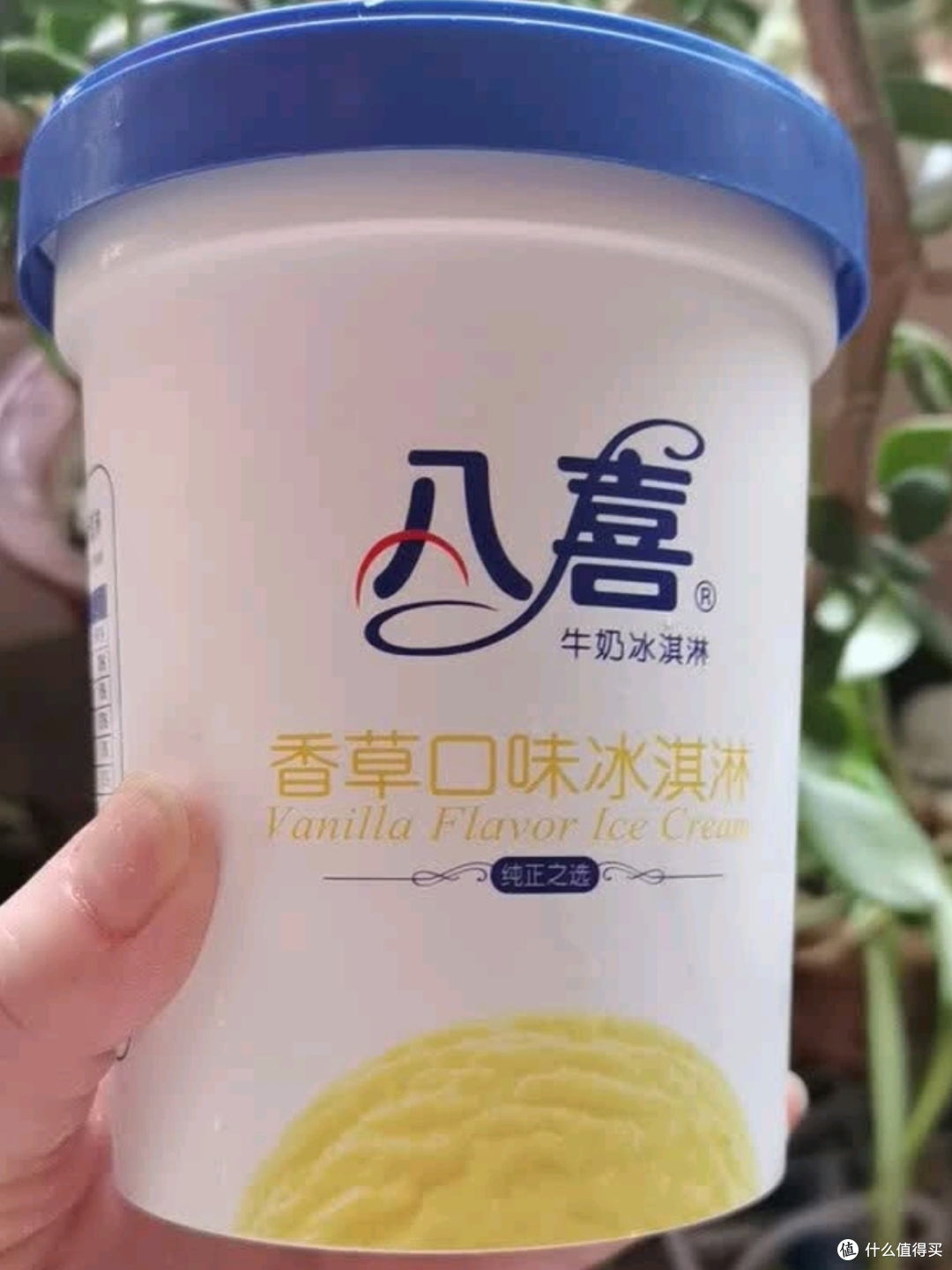 八喜香草冰淇淋550g:一勺入魂的经典滋味