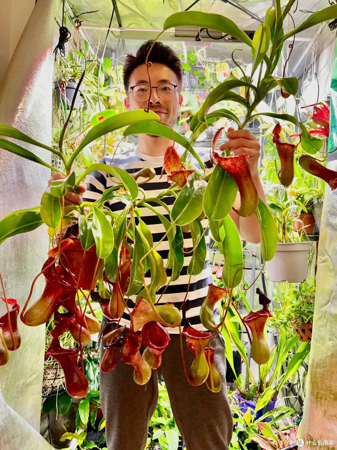 浙江一男子,因“鱼缸不养鱼,只养草”火了,网友:好美,咋养的