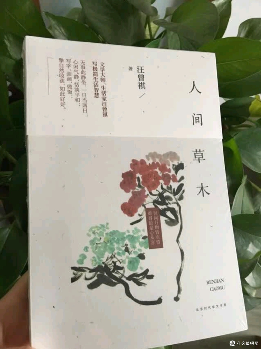 人间草木:汪曾祺笔下的诗意栖居与生命哲思