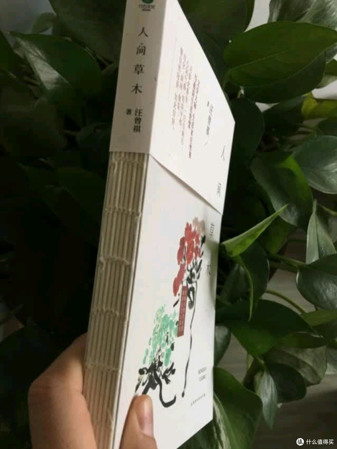 人间草木:汪曾祺笔下的诗意栖居与生命哲思