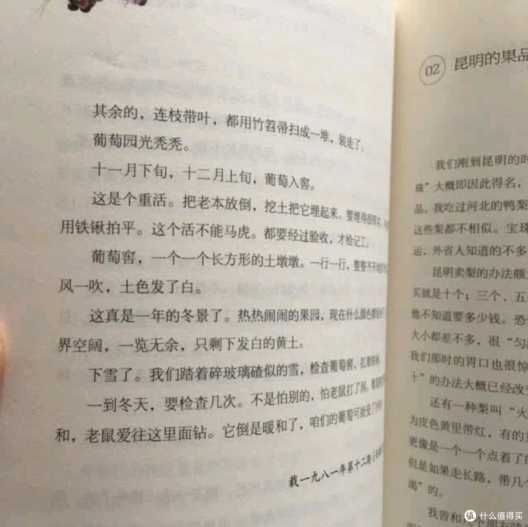 人间草木:汪曾祺笔下的诗意栖居与生命哲思
