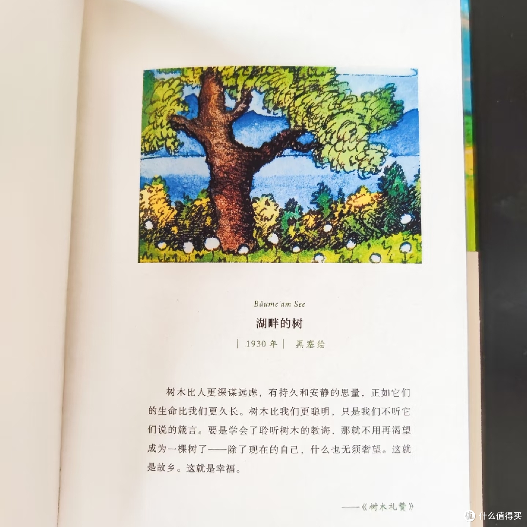 黑塞的夏日庭院:独自却自在