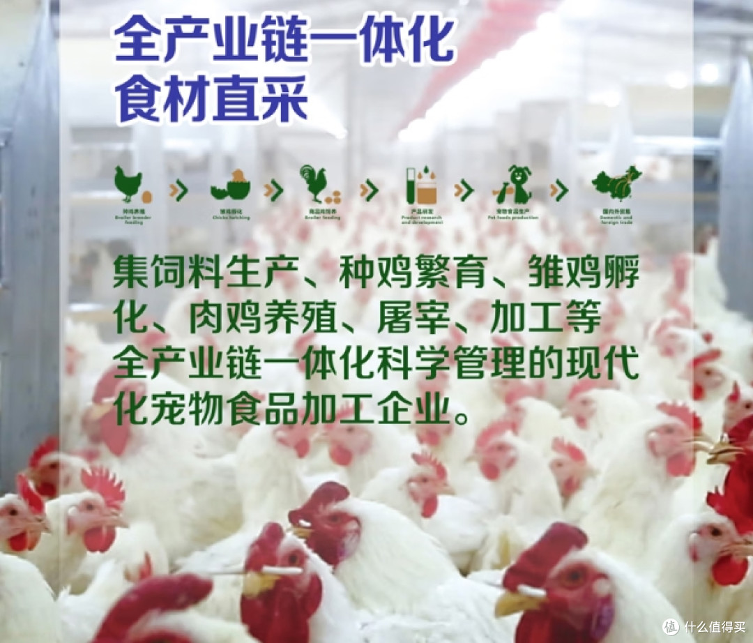 别再骂猫条是 “垃圾” 了！这款猫条真能给猫咪补营养