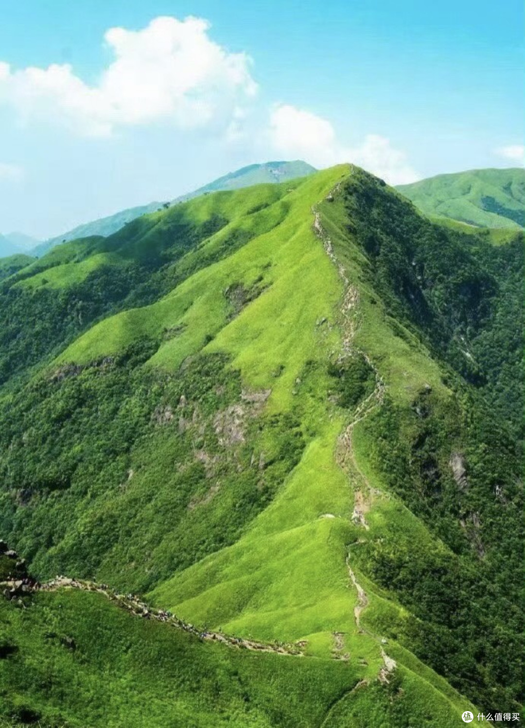 哈姆雷特:人性深渊中的光