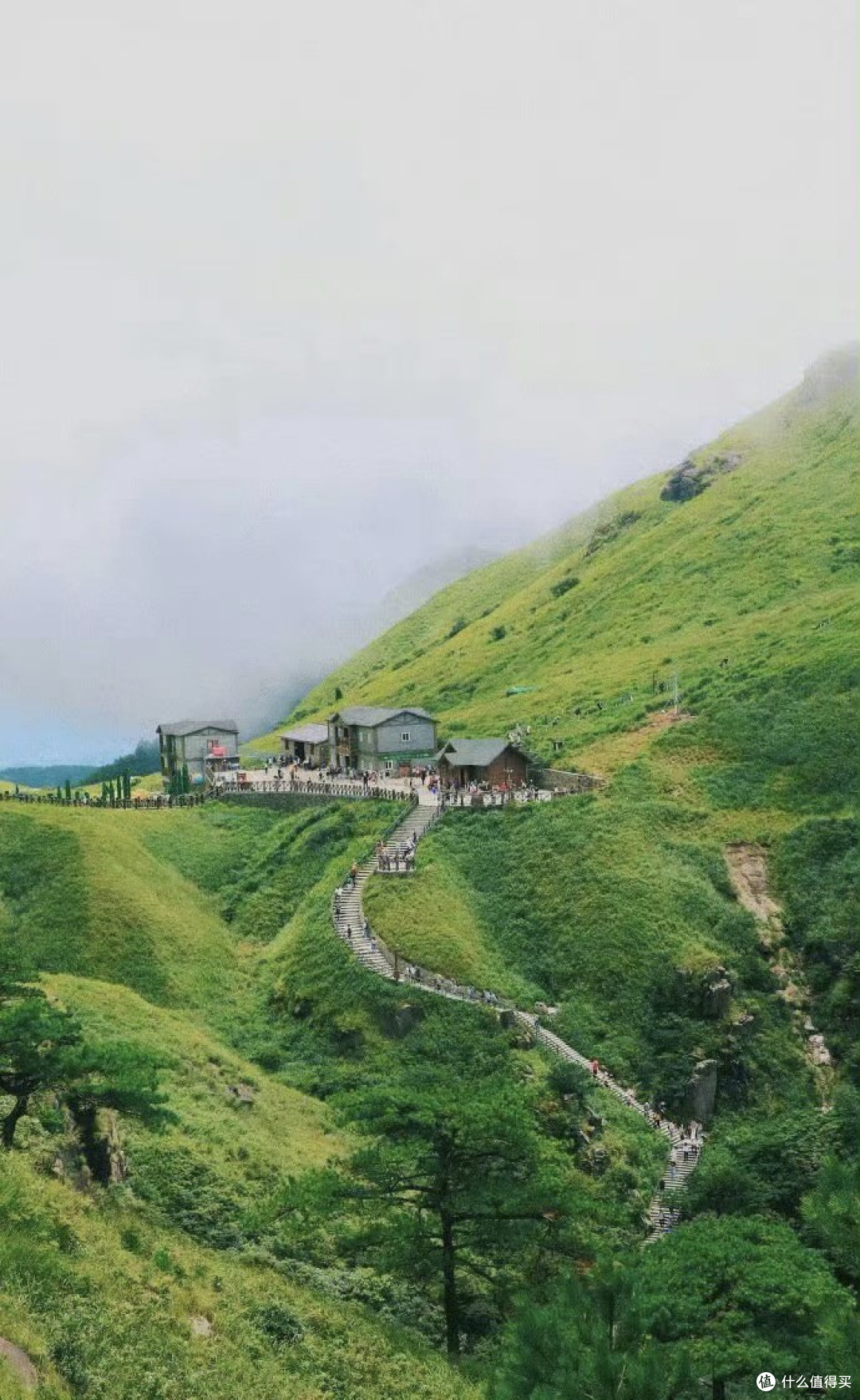 哈姆雷特:人性深渊中的光