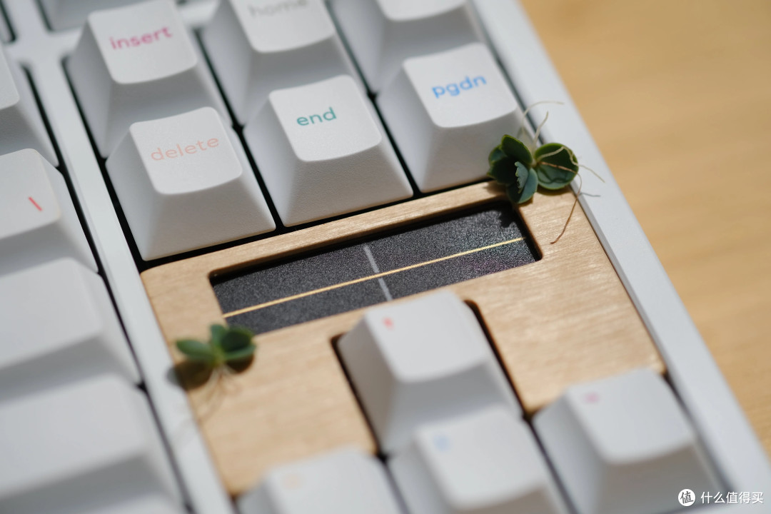套件前瞻｜Soleil TKL