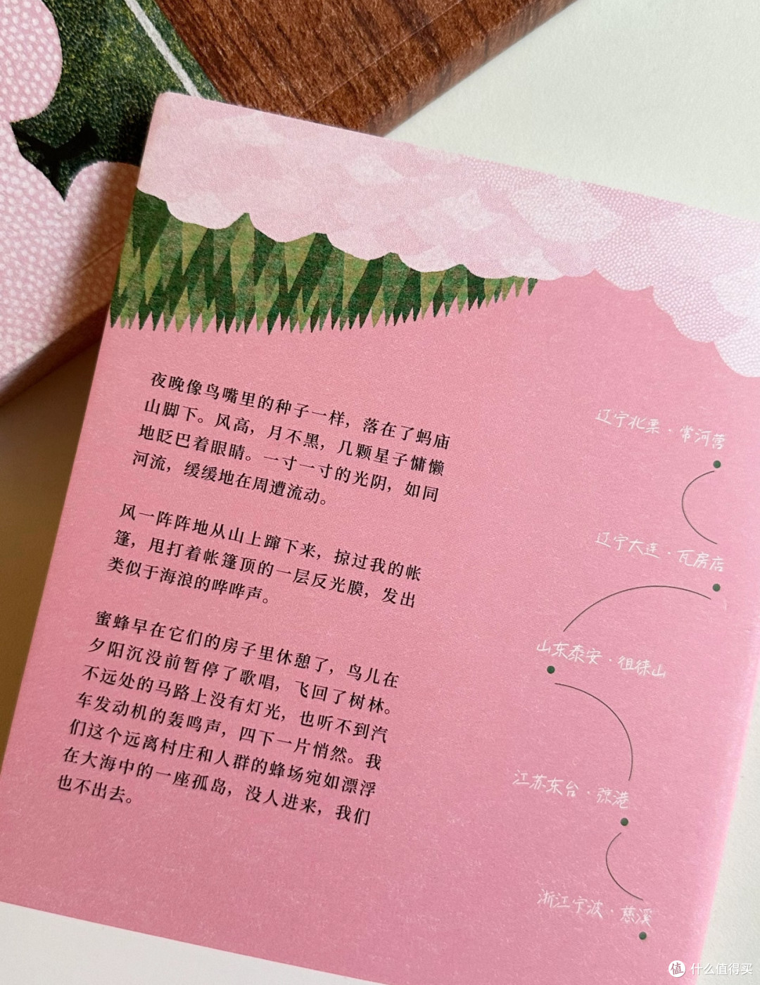 《去有花的地方》陈慧