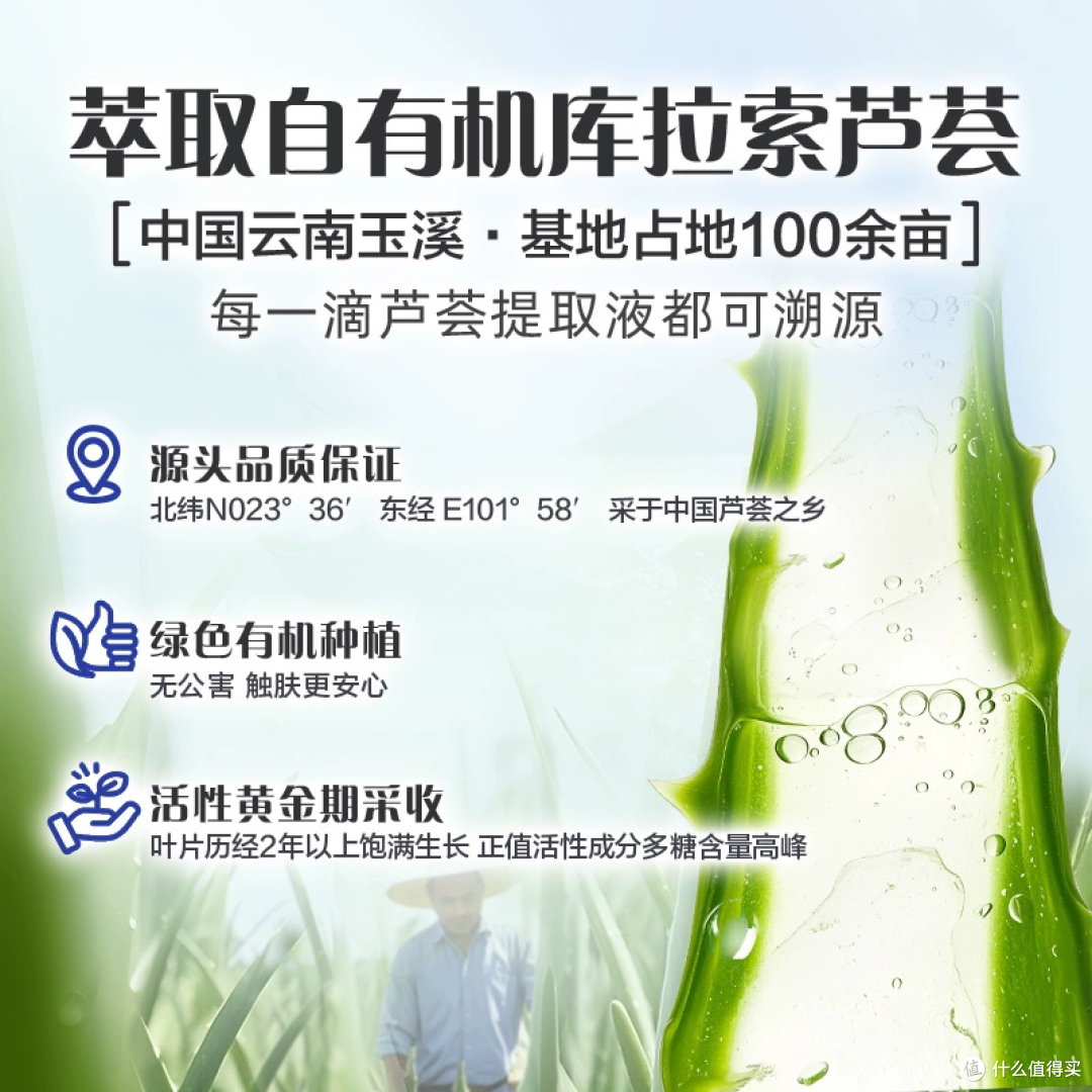 维达芦荟湿厕纸体验:如露水拂过的轻柔洁净
