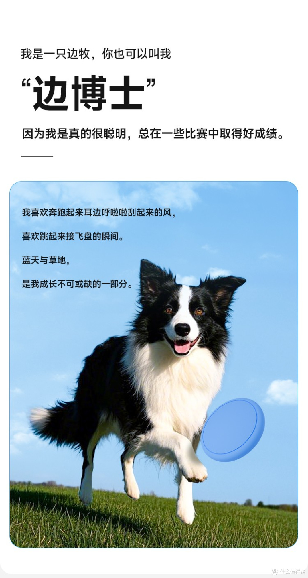 2025边牧狗粮排行榜,凯锐思边牧专用狗粮怎么样?