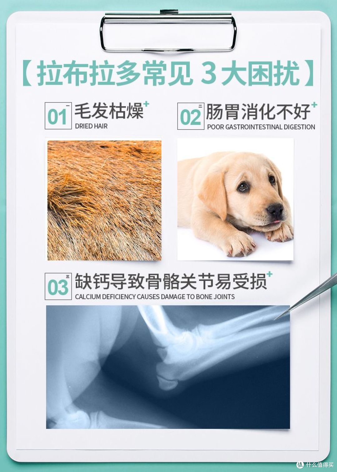 2025拉布拉多狗粮排行榜,拉布拉多性价比狗粮排名,你选对了吗?