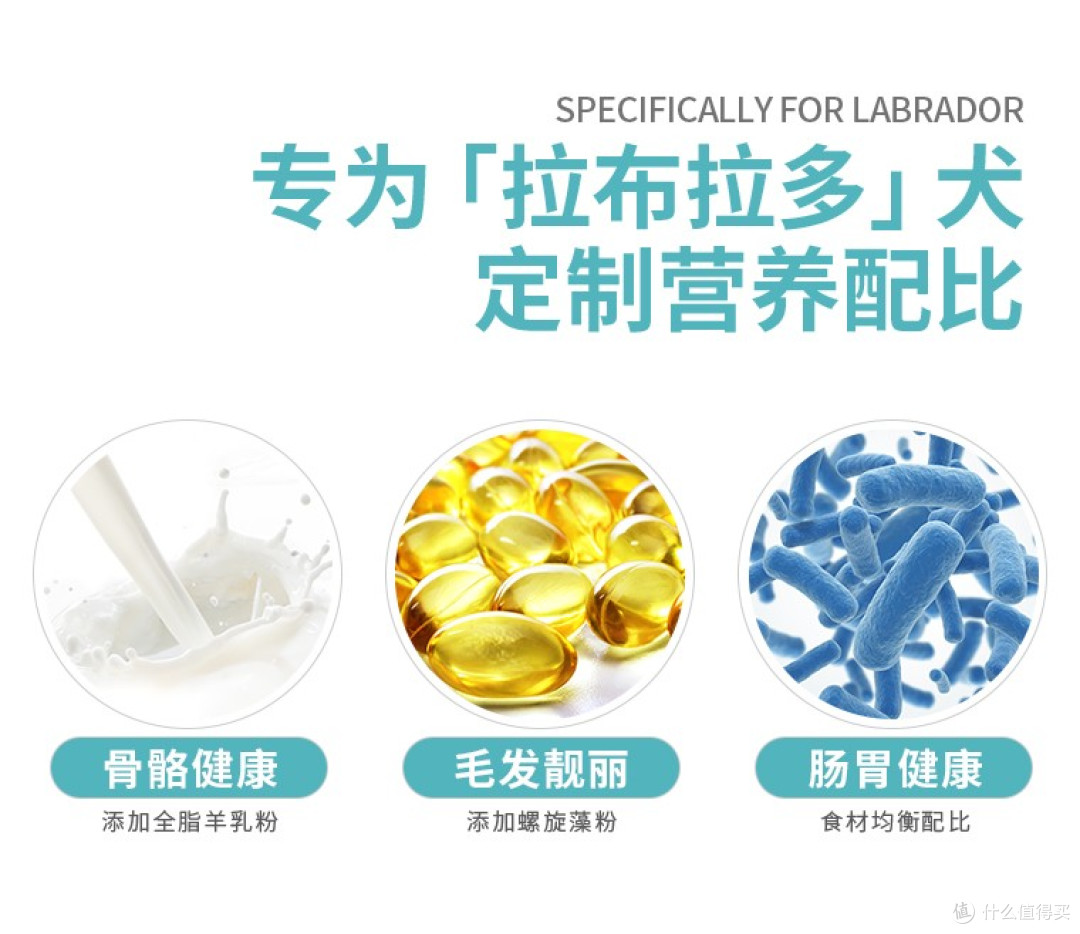 2025拉布拉多狗粮排行榜,拉布拉多性价比狗粮排名,你选对了吗?