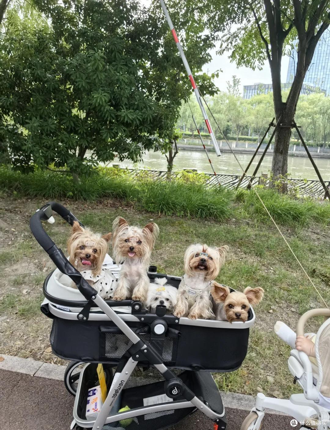 闲置的婴儿车别急着送人,DIY一下妙用无穷,大家直呼“内行”!