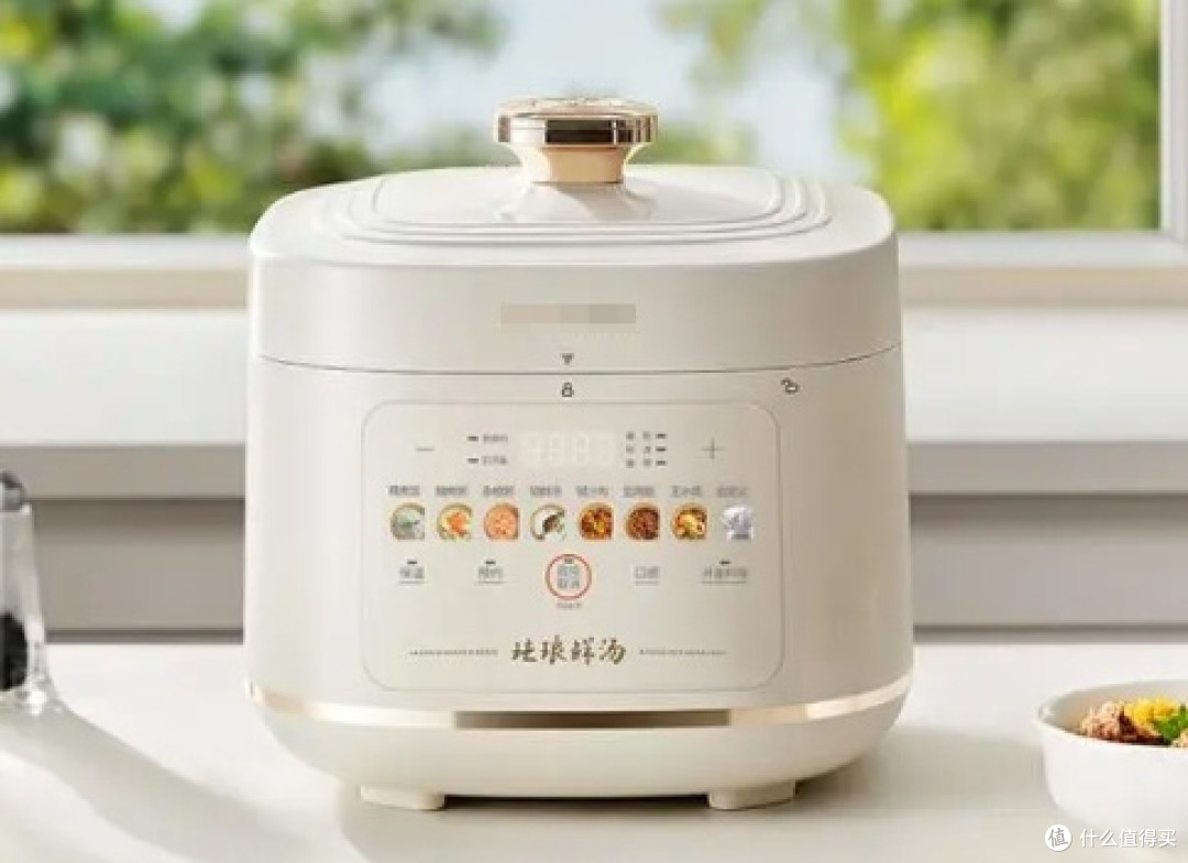 电压力锅哪个牌子好?多款品牌测评对比